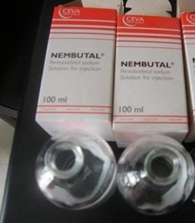 acheter le nembutal solution buvable, pentobarbital liquide en Francve, en Suisse et en belgique; achat sur internet de nembutal liquide, vente de solution buvable de pentobarbital en ligne.